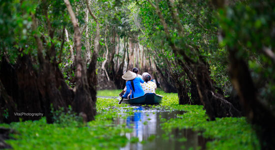 Chau Doc Tra Su Sanctuary Gree